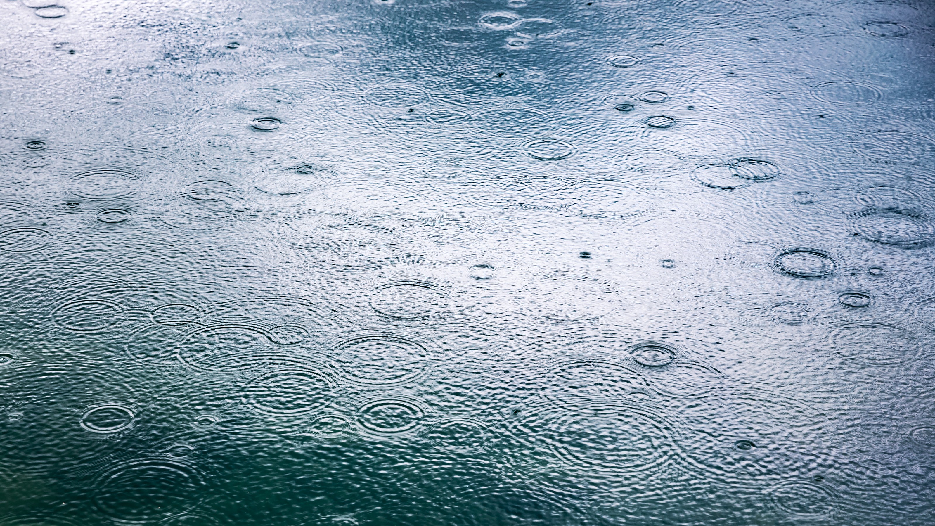 Rain falls on a blue water surface, creating numerous concentric ripple circles.